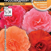 Бегония Розовидная смесь 5шт РР