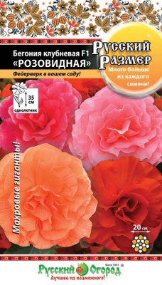 цБегония Розовидная смесь 5шт Русский размер