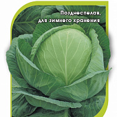 Капуста бк Атрия 10шт (Семинис) позд.