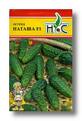 Огурец Наташа 10шт (Seminis/Голландия)
