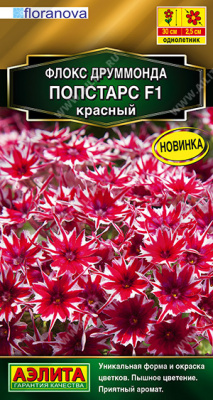 цФлокс Попстарс красный друмм. 5шт