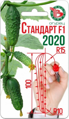 Огурец Стандарт 2020 8шт