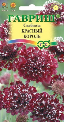 Скабиоза Красный король 7шт
