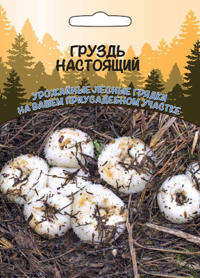 Грибы Груздь настоящий 30мл