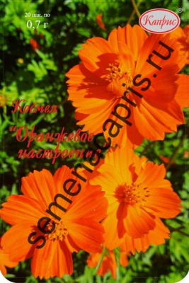 цКосмея Оранжевое настроение (20пак*0,5г)