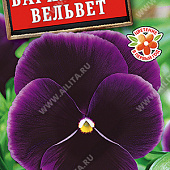 Виола Бархатный вельвет 0,1г
