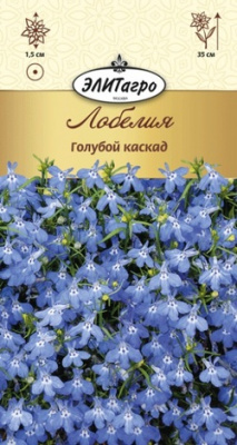 цЛобелия Голубой каскад
