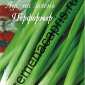 Лук Перформер на перо (20пак*0,7г) Нидерланды