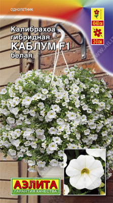 цКалибрахоа Каблум белая 3шт