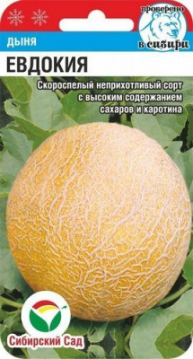 Дыня Евдокия 5 шт.