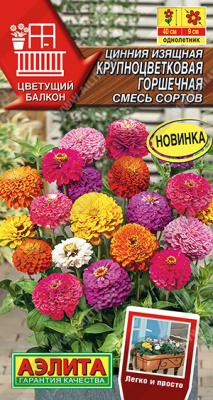 Цинния Крупноцветковая горшечная смесь 12шт