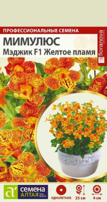 цМимулюс Мэджик Желтое пламя 7 шт