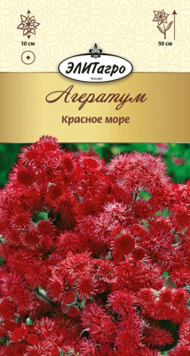 цАгератум Красное Море
