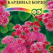 Агератум Кардинал бордо 0,1г Сад ароматов