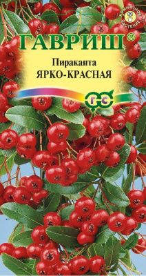 цПираканта Ярко-красная 5шт