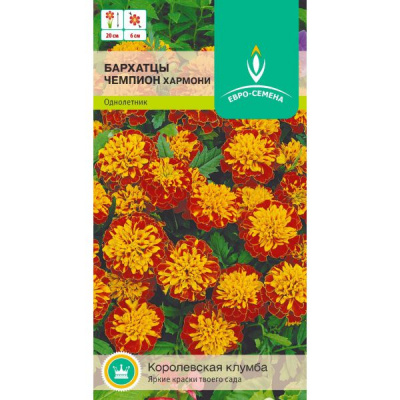 цБархатцы Чемпион Хармони