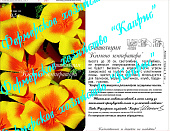 цЭшшольция Кимоно императора/Калифорнийская (20пак*0,5г)