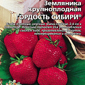 Земляника Гордость Сибири крупн. 10шт
