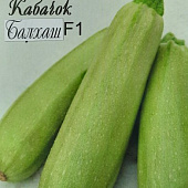 Кабачок Балхаш (20пак*3шт) Нидерланды