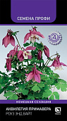 Аквилегия Примавера Роуз энд вайт 5шт (Семена Профи)