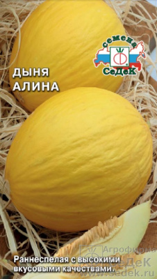 Дыня Алина