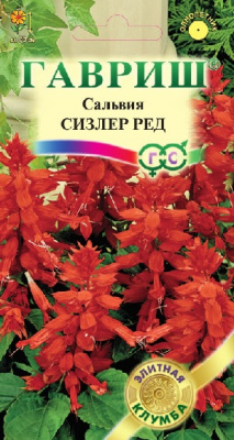 Сальвия Сизлер ред 4шт Элитная клумба