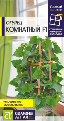 Огурец Комнатный 5шт