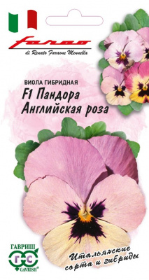 цВиола Пандора Английская роза 5шт