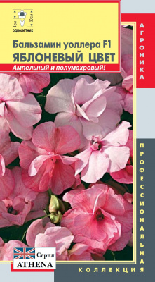 цБальзамин Яблоневый цвет (Уоллера) 5шт