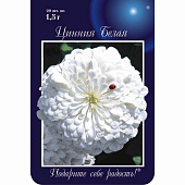 цЦинния Белая /Полярный медведь (20пак*1г)