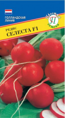 Редис Селеста 1г (Голландия)