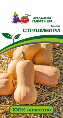 Тыква Страдивари 10шт