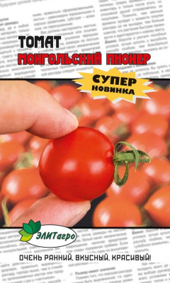 Томат Монгольский пионер