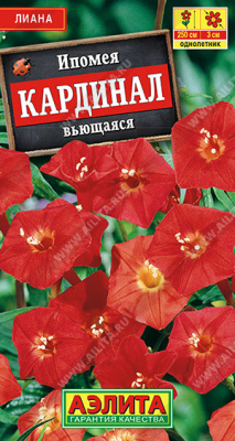 Ипомея Кардинал 0,5г