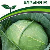 Капуста бк Барыня 0,2г устойчива к киле