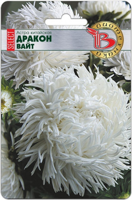 Астра Дракон Вайт (селект) 30шт