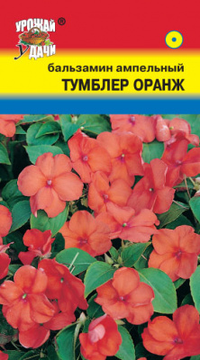 цБальзамин Тумблер Оранж амп. 3шт