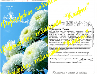 цАстра Княжна Ольга/ Принцесса Белая (20пак*1г)