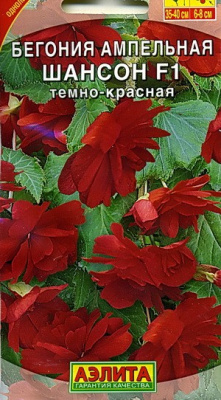 цБегония Шансон темно-красная амп. 10шт.