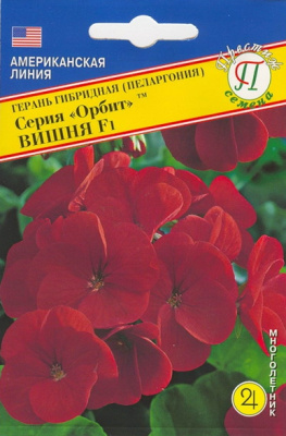 цГерань Орбит Вишня 5шт
