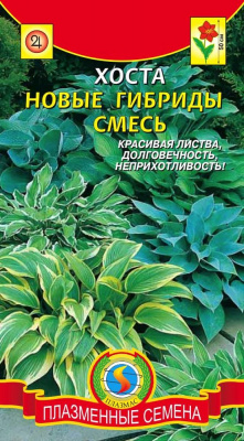 цХоста Новые гибриды смесь 3шт