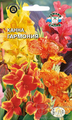 цКанна Гармония 1г