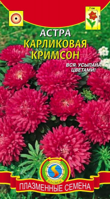 цАстра Карликовая кримсон 0,3г