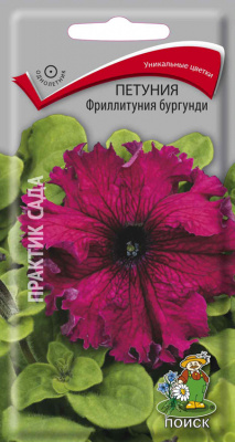 цФриллитуния Бургунди 10шт