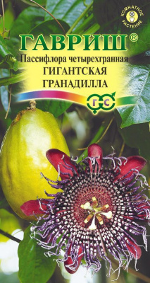 цПассифлора Гигантская гранадилла 3шт