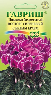цЦикламен Восторг смесь с белым краем 3шт