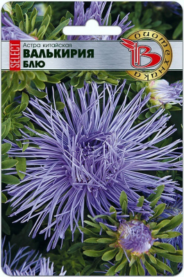 Астра Валькирия Блю (селект) 30шт