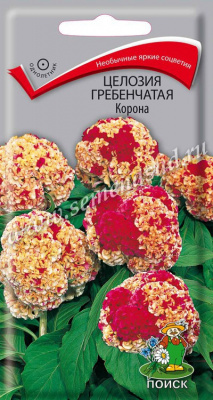 цЦелозия Корона гребенчатая 10шт