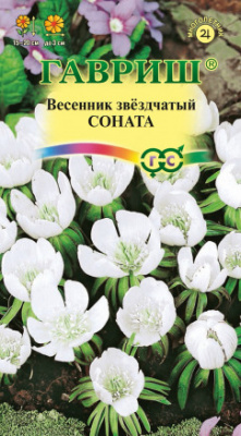 цВесенник Соната звездчатый 0,01г