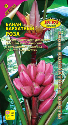 цБанан Роза бархатный 3шт